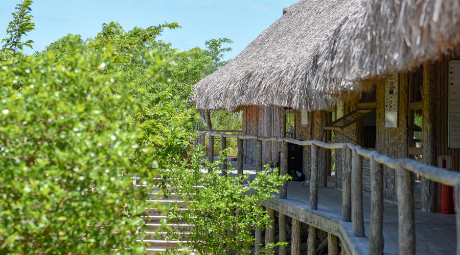 Why we ask for a fee to join the Marine Science Program at BCSS - BCSS